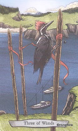 Animal Totem Tarot